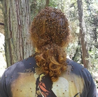 Tu as une bête dans les cheveux