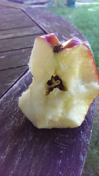 Petite surprise en mangeant une pomme
