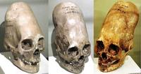 Ces crânes datent de 45000 ans avant JC