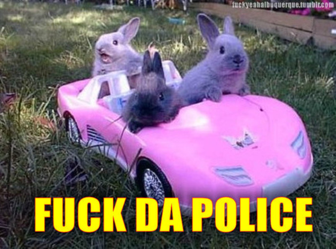 Des lapins rebelles