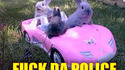 FUCK DA POLICE
