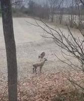 Ho mon dieu je l’ai buté 