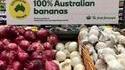 Bananes australiennes