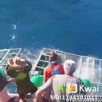 Comment est il entré ?