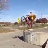 L'enfant et le vélo