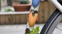 Des plantes sur son vélo