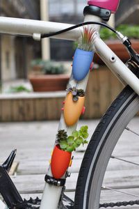 Des plantes sur son vélo