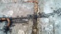 Travail d'équipe chez les fourmis