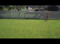 Faceplant 5