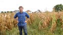 Robert, fier producteur de maïs Alsacien