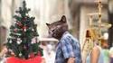Chapin de Noël