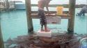 Mon hobby avec les requins