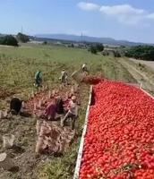 Quel est le principe de physique à l’œuvre ici ? 
