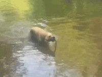 Stick'n'roll