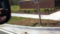 Petit train made in USA