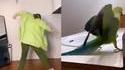Une paire ok 