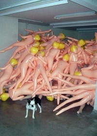 Un rebut gonflant...