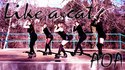 AOA - ???? (Like a Cat) Dance Cover by CutieScythe