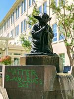 Matter black lives do