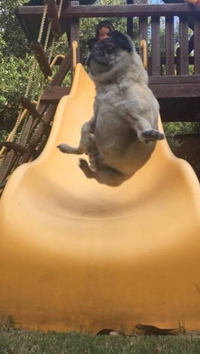 wiii wiiiiiiiii wiiiiiiiii