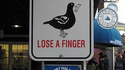 Ne nourrissez pas les pigeons !