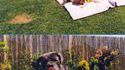 Tellement mignon