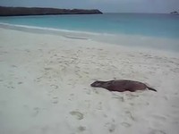 Trop fatigué ?