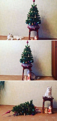 Noël, c'est fini !