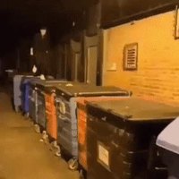 Trouver sa vraie place