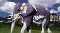 La vache Milka...