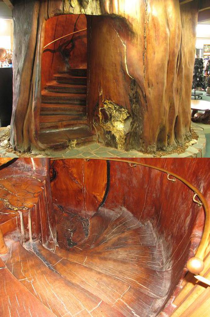 Un tronc d'arbre qui sert de cage d'escalier.