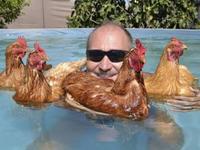 Un vieux nage entouré de poulettes sans maillots