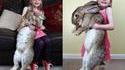un gros lapinou...