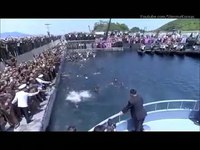Parce que n'est pas Kim qui veut