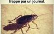 Le journal, c'est juste bon pour allumer la cheminée