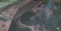 Pacman