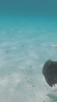 Faire des bulles sous l'eau