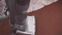 Chewbacca est partout