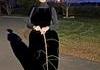 Quand Céline Dion se déguise pour Halloween