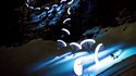 Parapente de nuit