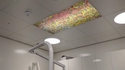 "Où est Charlie" chez le dentiste 