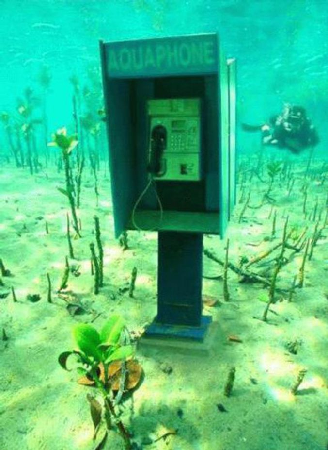 Une cabine téléphonique sous-marine.