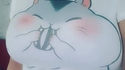 T-shirt hamster