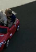 Chauffeur pour bébé 