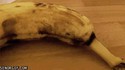 Spiderbanana