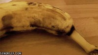 Spiderbanana