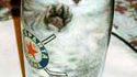 Chat dans un verre