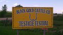 Testicle Festival