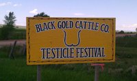Testicle Festival