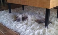 Un tapis